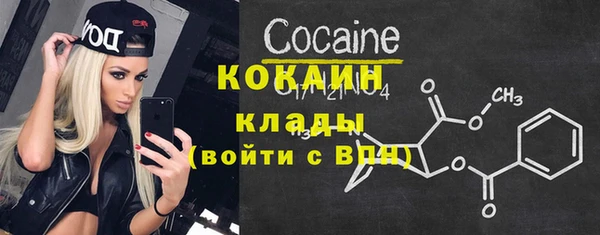 гашик Костерёво