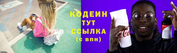 гашик Костерёво