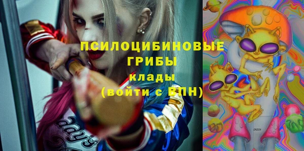 mdpv Коряжма